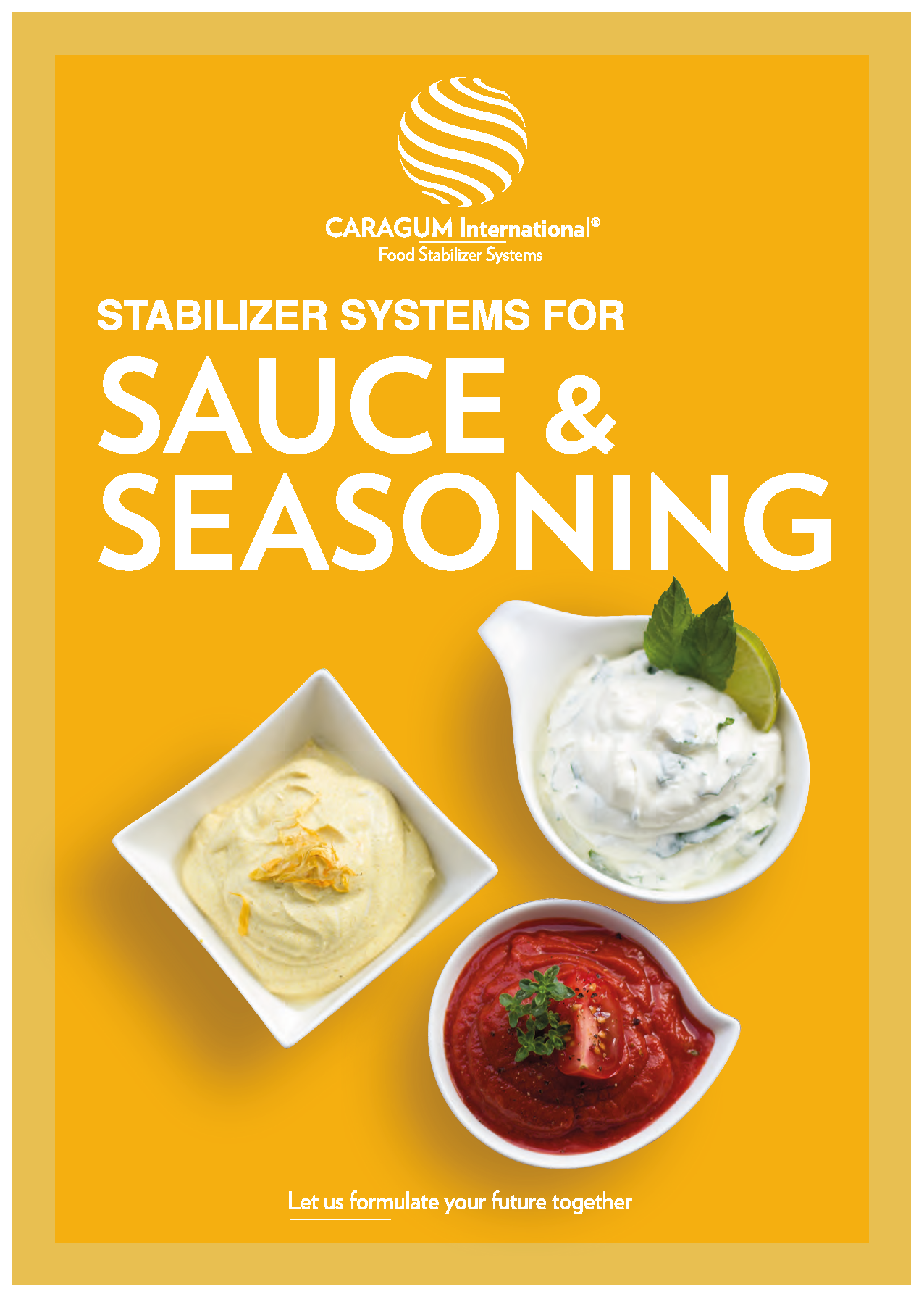 Stabilisants et épaississants pour sauces et assaisonnements - Brochure